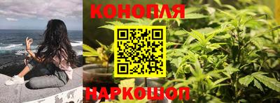 мет Новозыбков