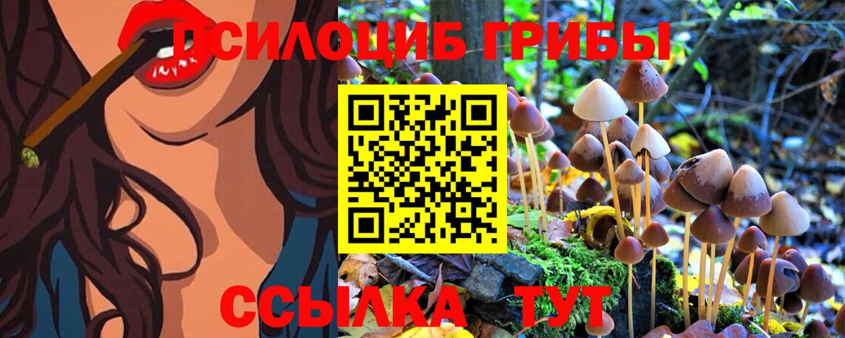 Псилоцибиновые грибы Psilocybine cubensis  Вход с VPN  Псилоцибиновые грибы Cubensis  Тобольск 
